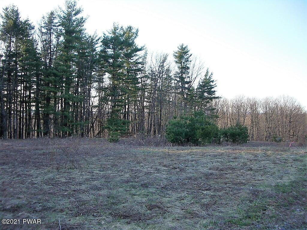 7 Avoy Heights Road Lake Ariel, PA 18436 - Photo 3 of 9