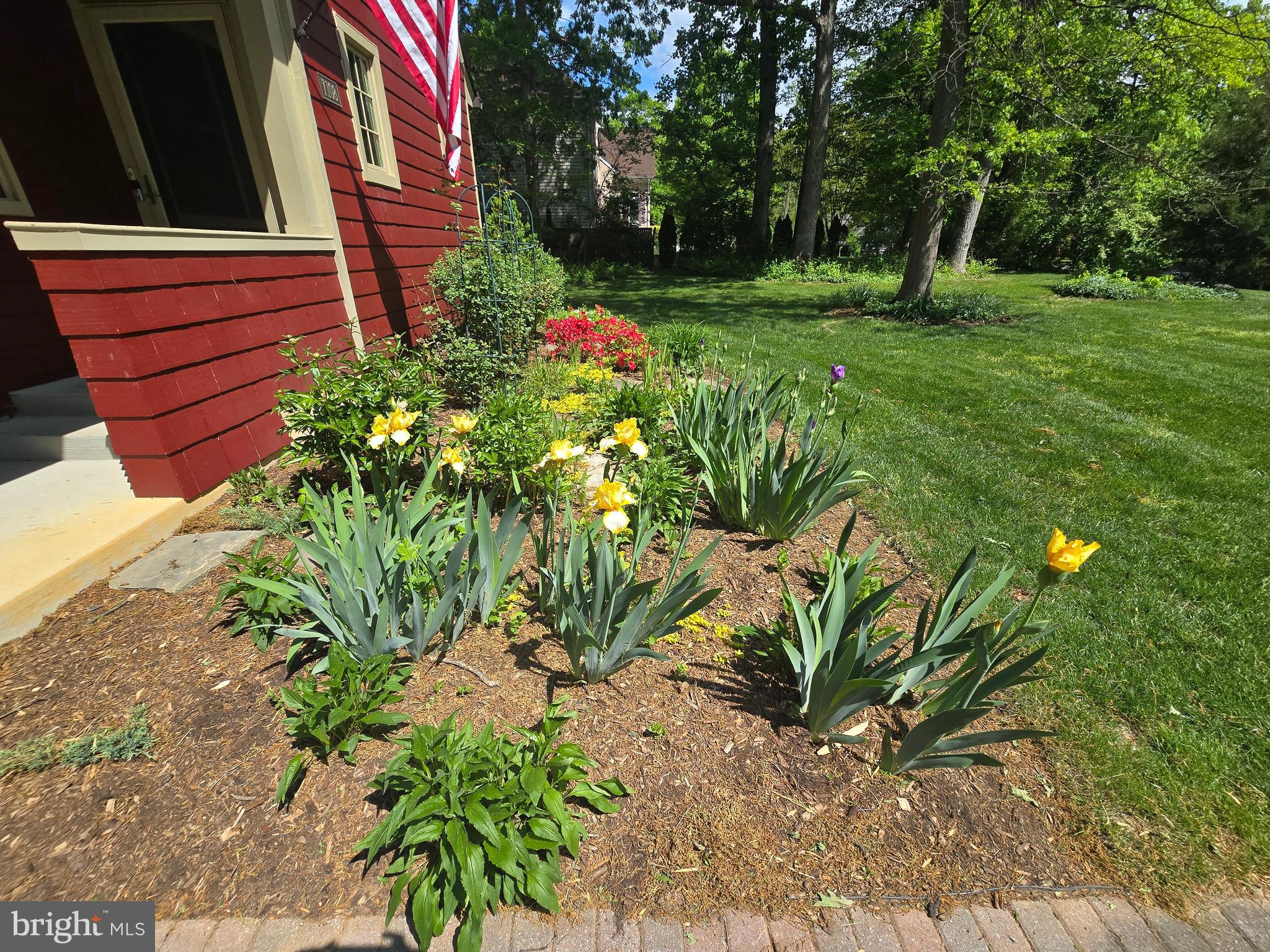 7108 Larrlyn Drive Springfield, VA 22151 - Photo 4 of 50 a view of a backyard with plants