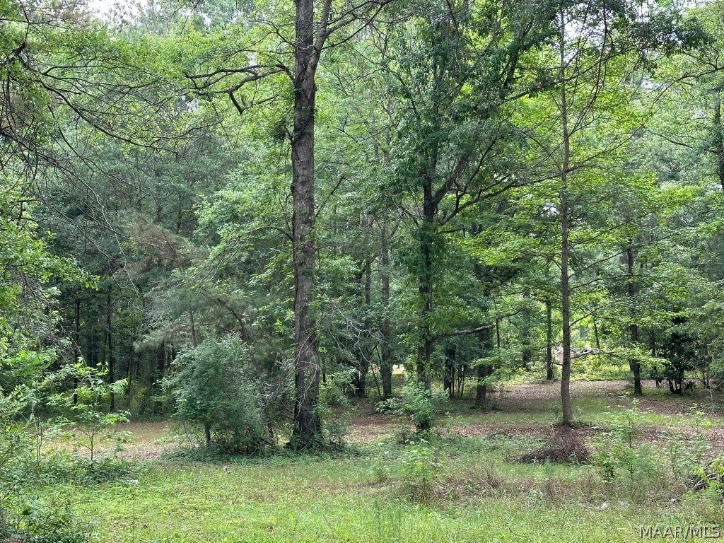 3211 Rose Hill Road Millbrook, AL 36054 - Photo 11 of 13 Gallery Image 11