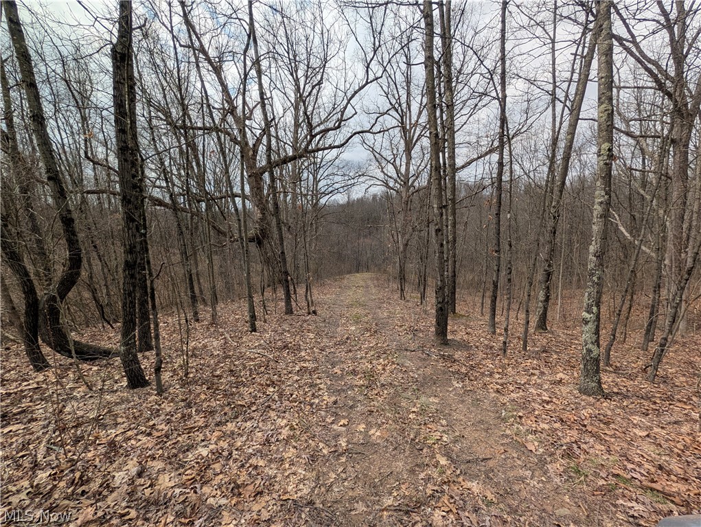 39000 Lees Run Road Cadiz, OH 43907 - Photo 28 of 49