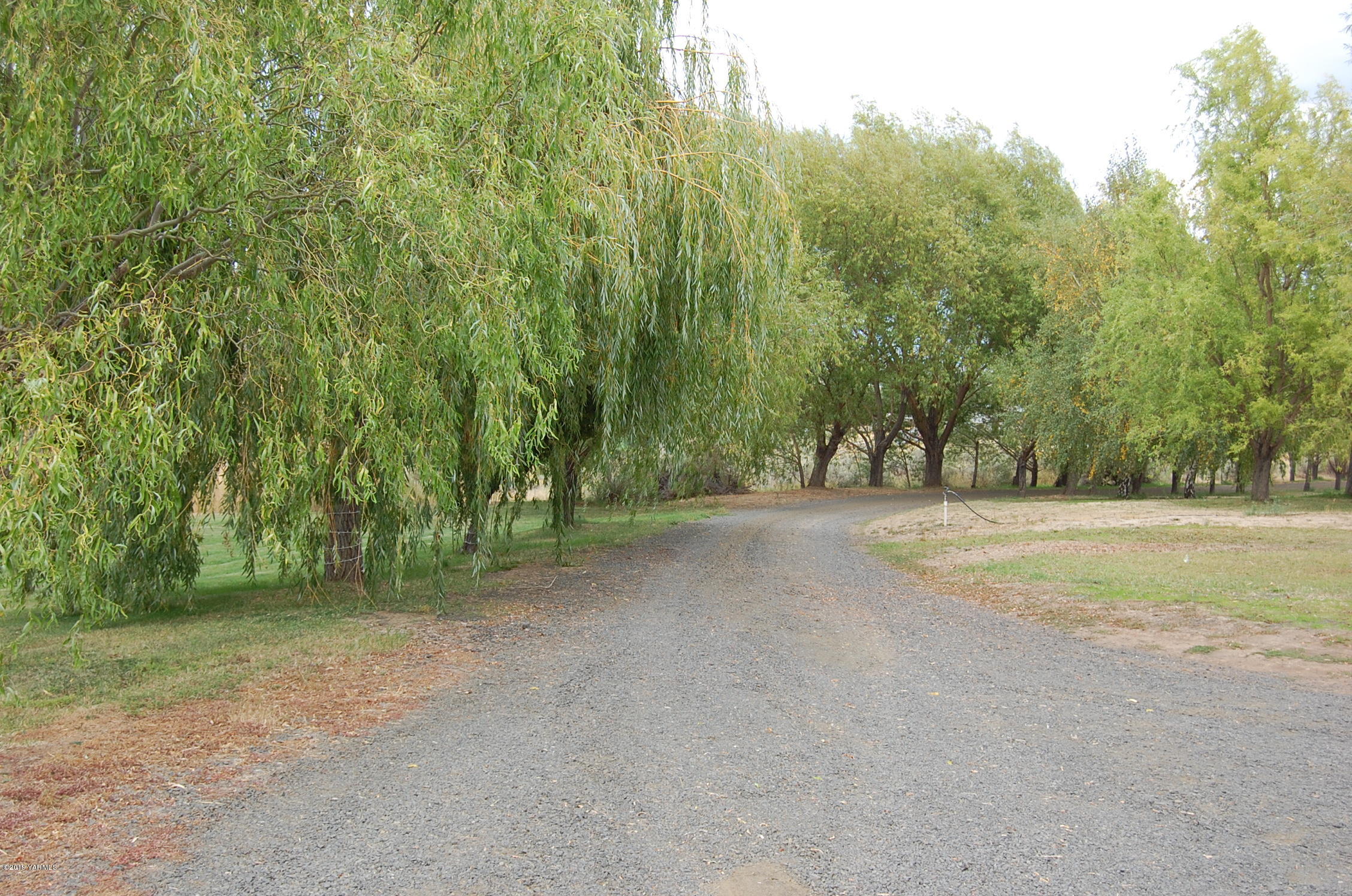 15021 Douglas Road Yakima, WA 98908 - Photo 30 of 35 a view of a field with trees in background