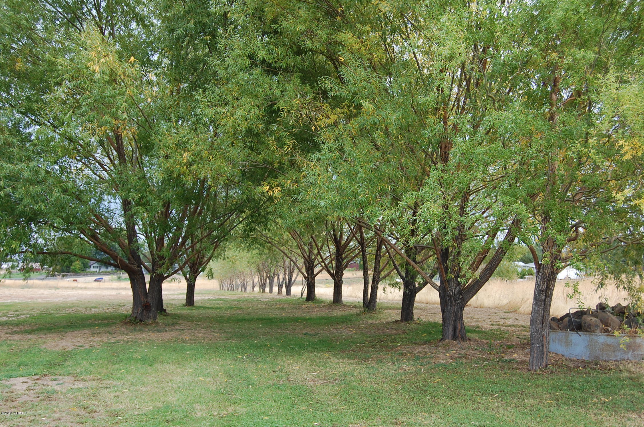 15021 Douglas Road Yakima, WA 98908 - Photo 31 of 35 a view of a trees in a yard