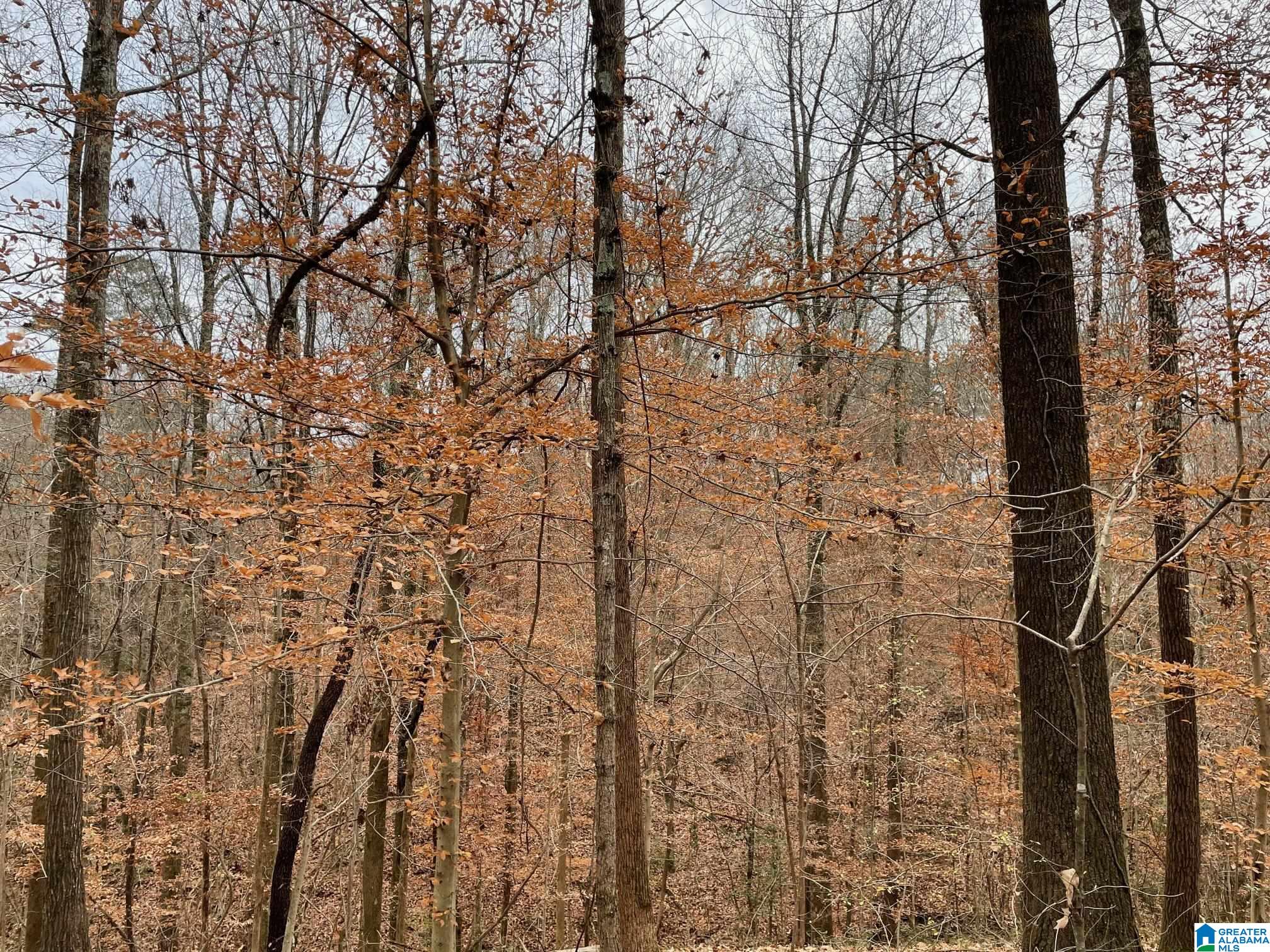 Roberta Road, Unit 14 Birmingham, AL 35214 - Photo 1 of 10 Gallery Image 1
