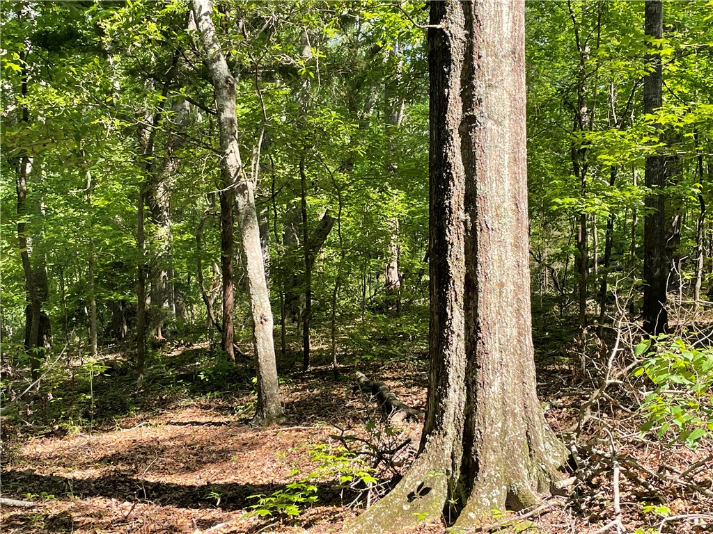 0 Clatworthy Road Honea Path, SC 29654 - Photo 22 of 27