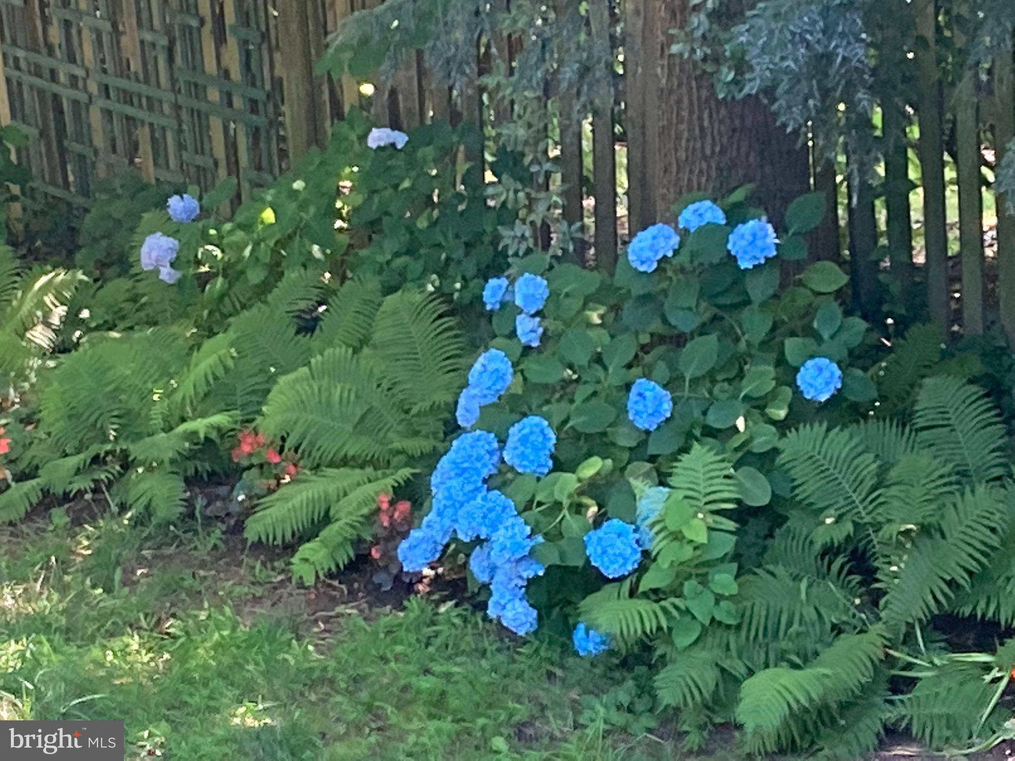 Perennial gardens