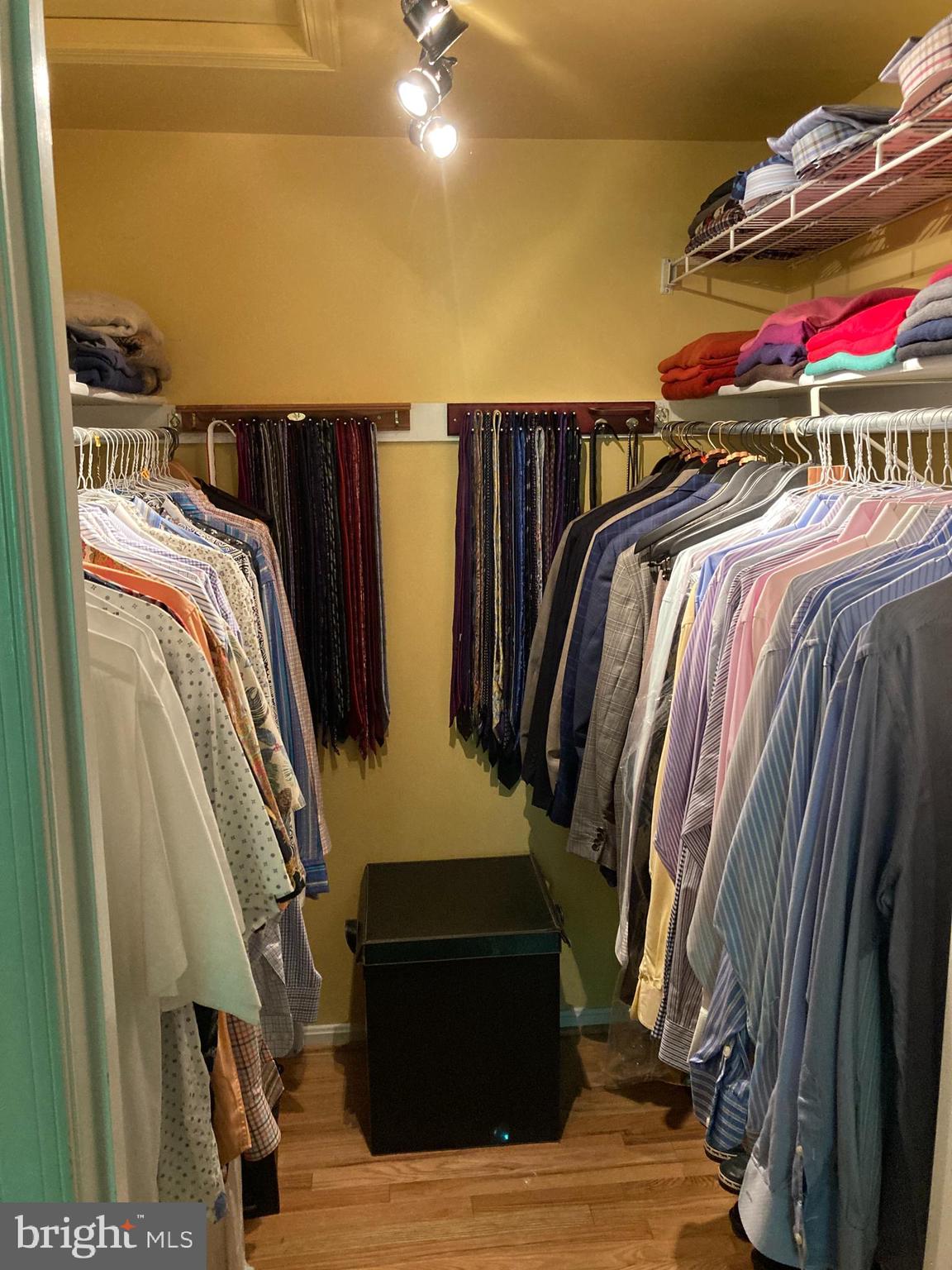 309 Opera Court Silver Spring, MD 20901 - Photo 29 of 49 Primary walk in closet