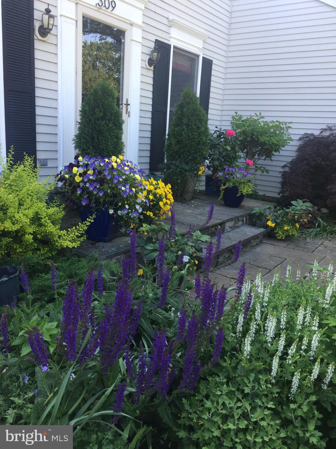 Beautiful year round perennial gardens