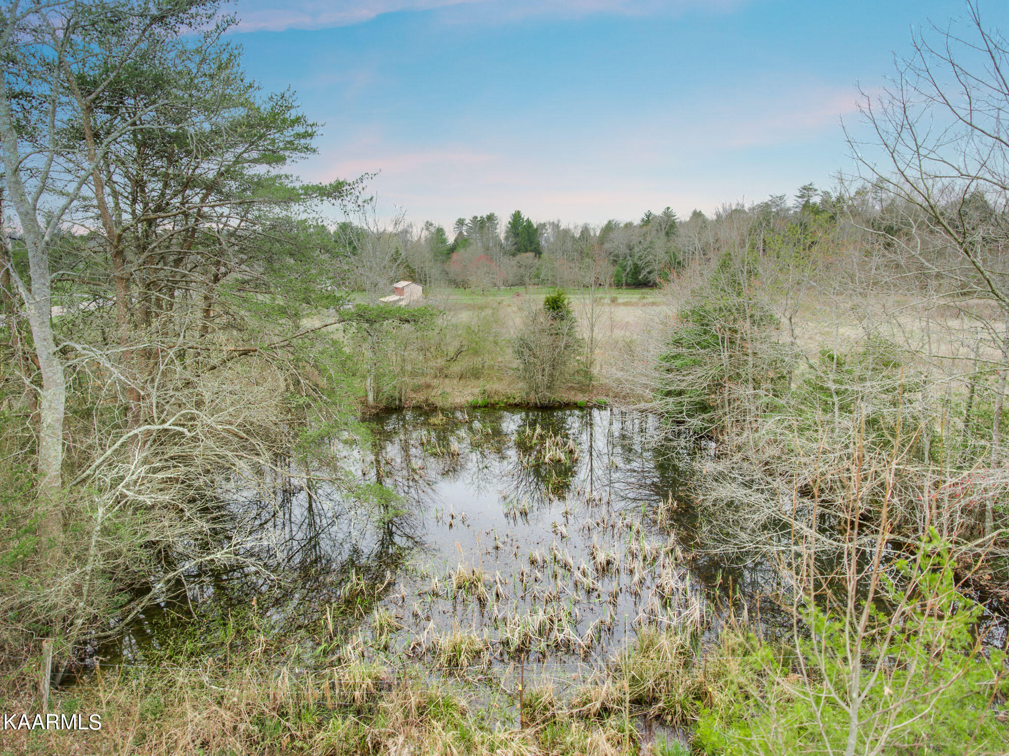 4571 Bellview Road Pikeville, TN 37367 - Photo 29 of 40 4571 Bellview Pikeville-013_TNPC-Edit