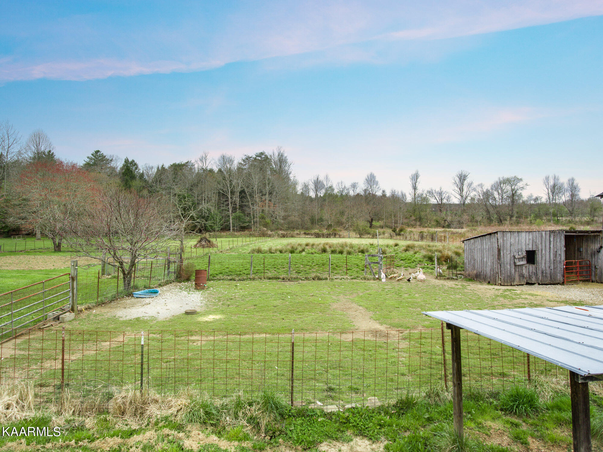 4571 Bellview Road Pikeville, TN 37367 - Photo 36 of 40 4571 Bellview Pikeville-003_TNPC-Edit