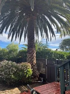 $3,600 | 2479 Fordyce Road, Ojai, CA 93023