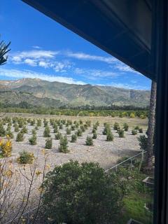 2479 Fordyce Road Ojai, CA 93023 - Photo 14 of 19 a view of a lake with a mountain