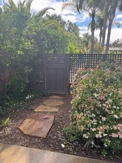 a view of a yard with plants and large trees