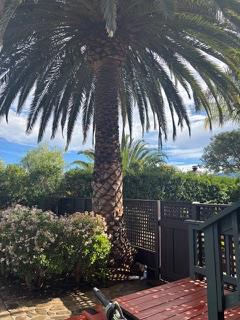 2479 Fordyce Road Ojai, CA 93023 - Photo 3 of 14