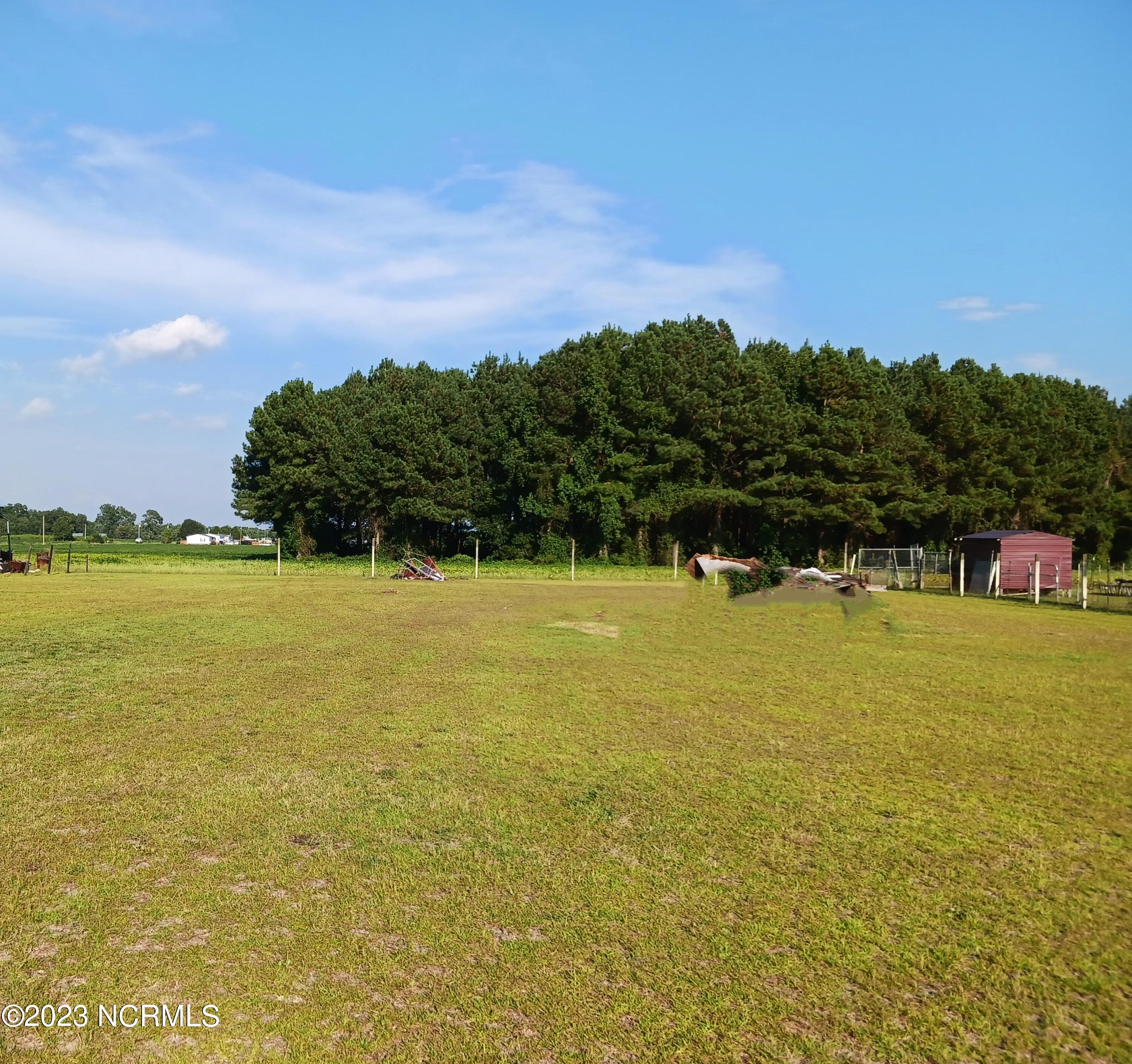 125 Spencer Road Fremont, NC 27830 - Photo 13 of 13 Backyard
