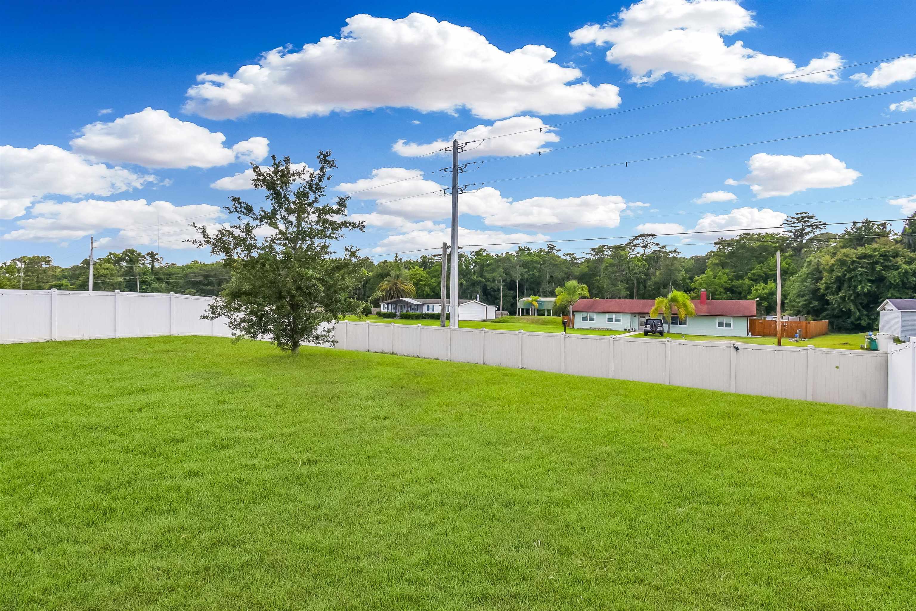 362 South Hamilton Springs Road St. Augustine, FL 32084 - Photo 33 of 37 a view of tall trees and a big yard