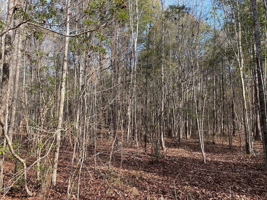 14 Robin Road Swainsboro, GA 30401 - Photo 2 of 8