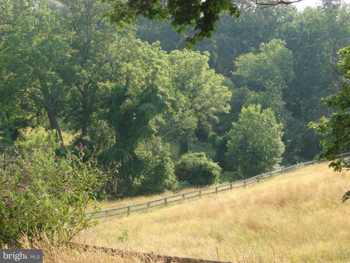 2020 Durham Road Fallston, MD 21047 - Photo 14 of 17 Pasture