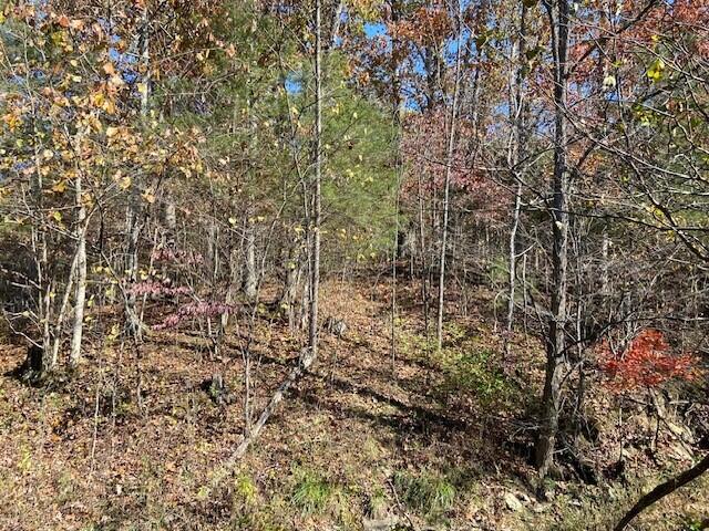 5420 Central Ridge Road Mount Olivet, KY 41064 - Photo 12 of 13