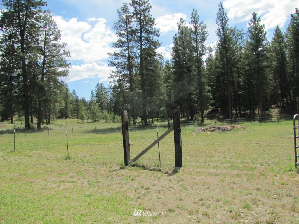 40 Main Road Tonasket, WA 98855 - Photo 8 of 25 a view of a yard with trees