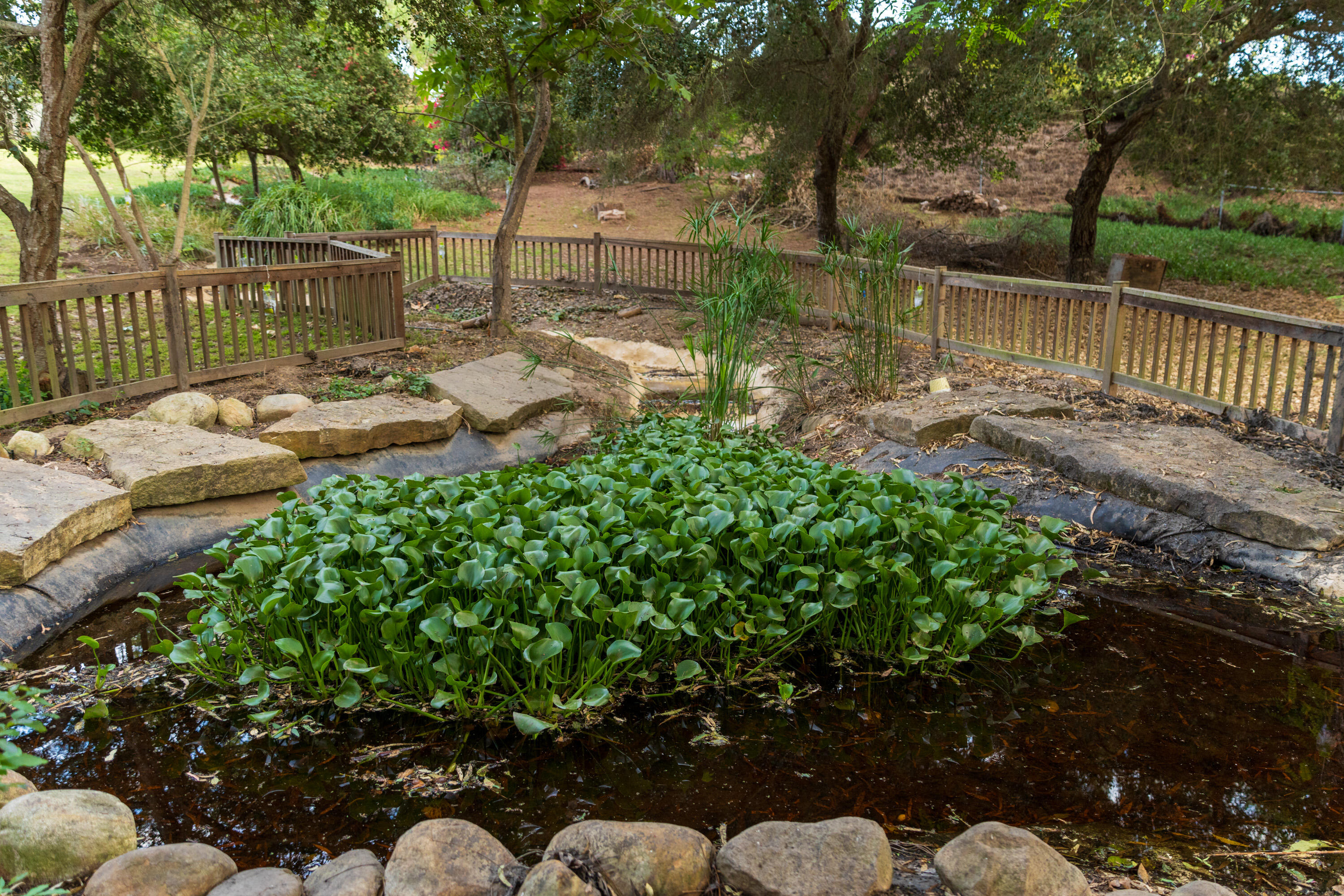 785 Carosam Road Santa Barbara, CA 93110 - Photo 44 of 46 a view of a backyard with plants and lake view