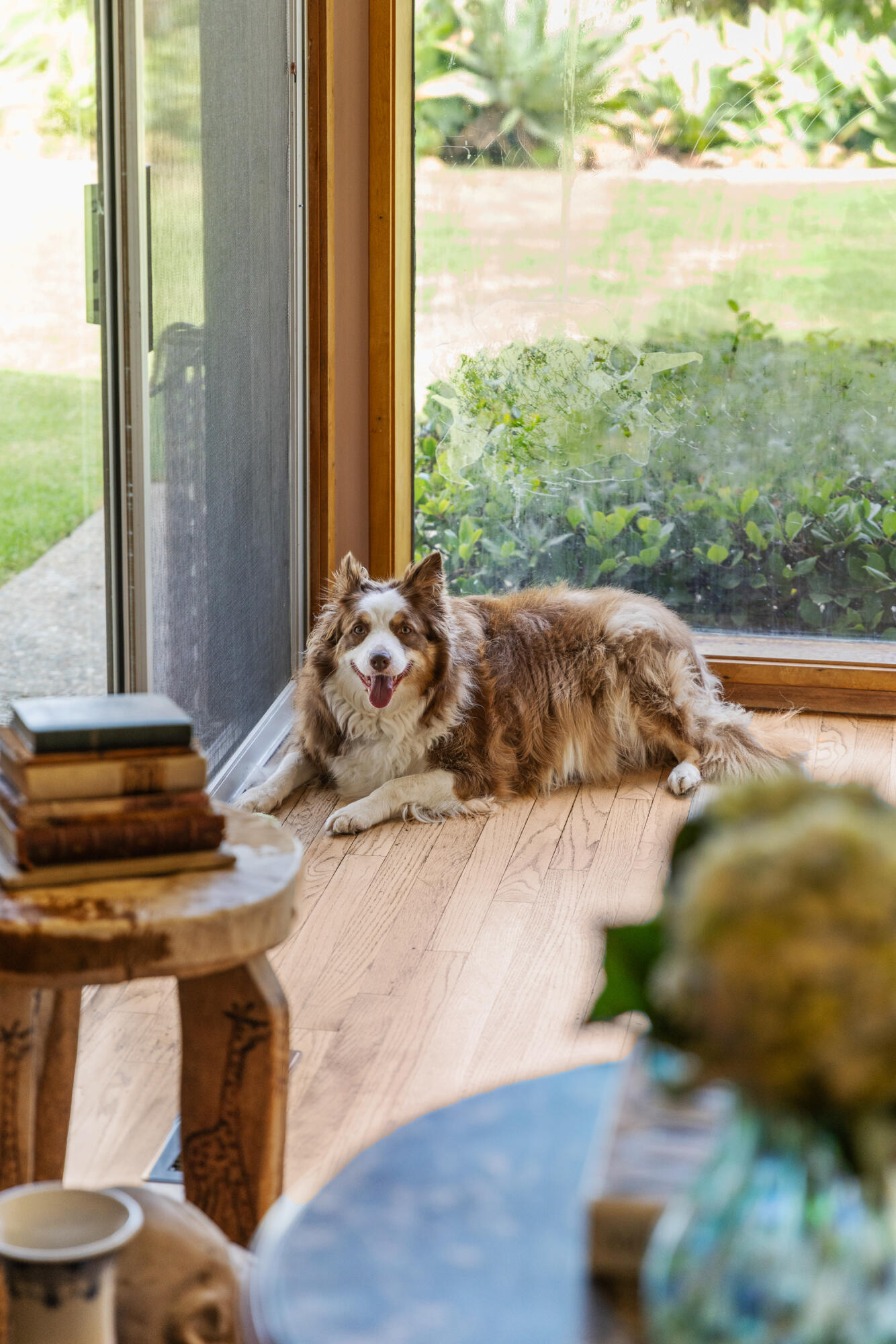 785 Carosam Road Santa Barbara, CA 93110 - Photo 9 of 46 a bed sitting in a bedroom next to a window