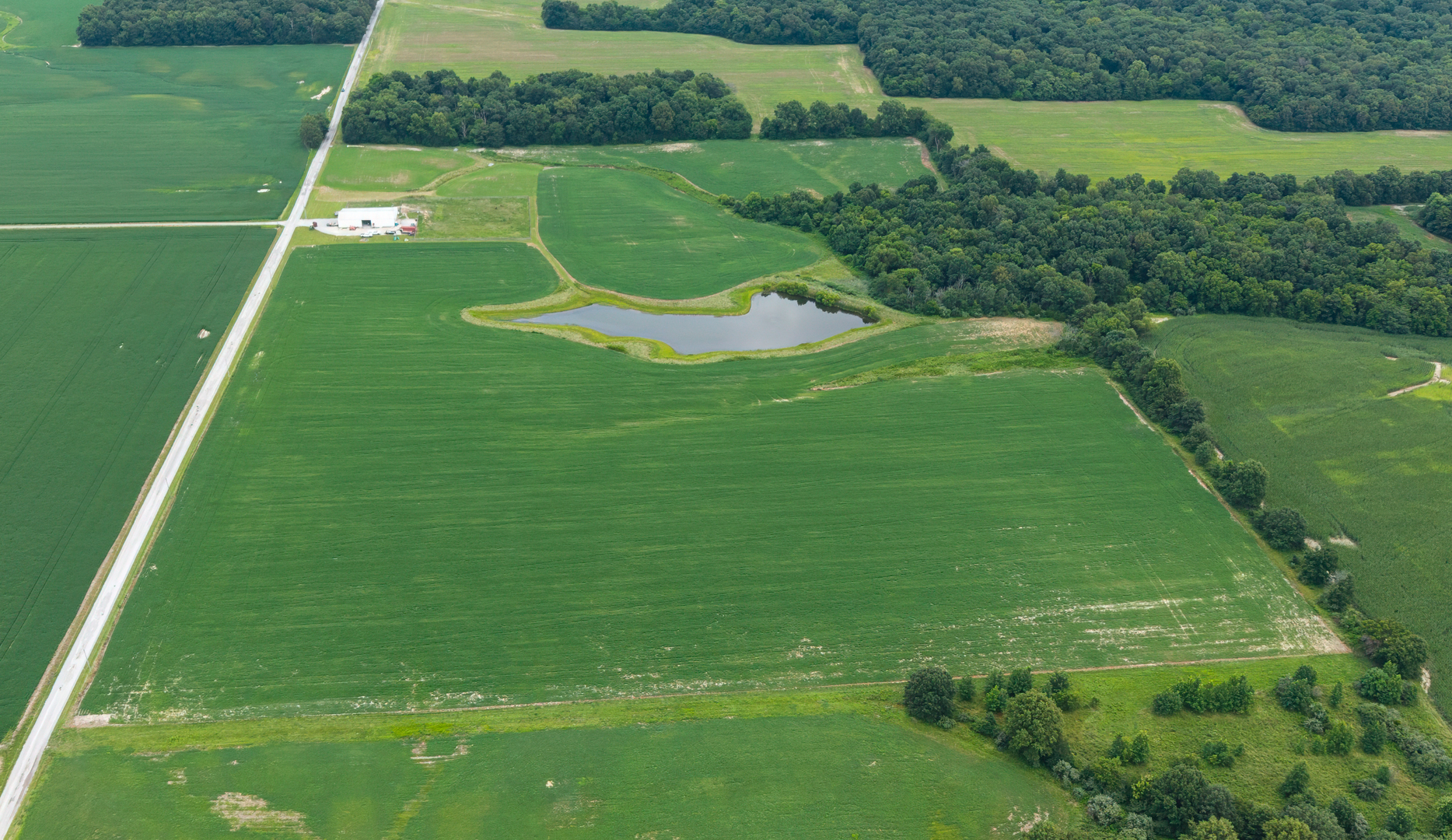 3499 East Snapshot Road Woodlawn, IL 62898 - Photo 4 of 10