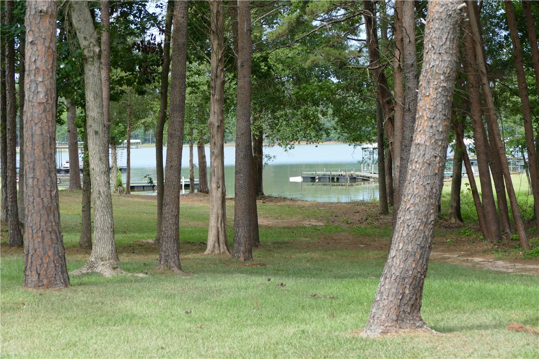 531 Glenn Ferry Road Fair Play, SC 29643 - Photo 2 of 18 Gallery Image 2