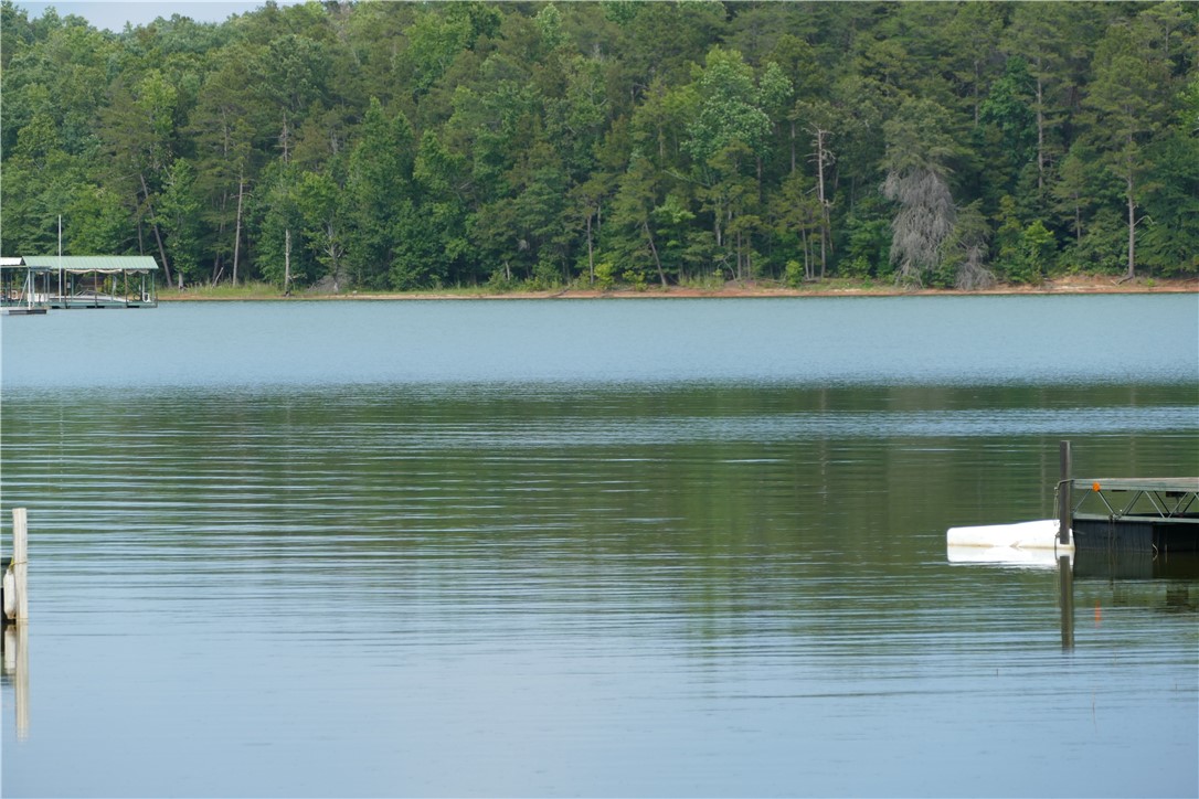 531 Glenn Ferry Road Fair Play, SC 29643 - Photo 3 of 18 Gallery Image 3