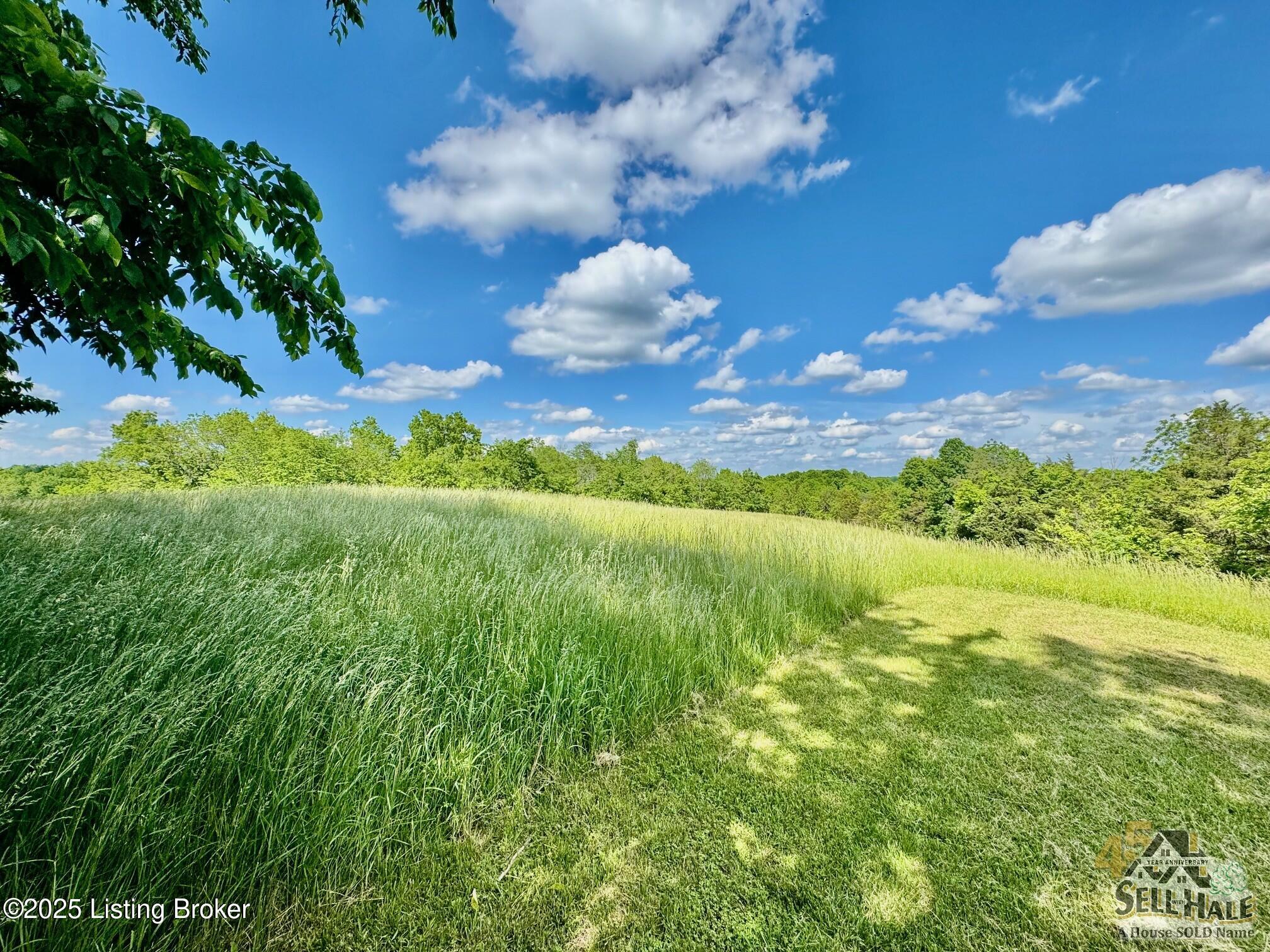 3200 Chaplin Road Willisburg, KY 40078 - Photo 5 of 10 IMG_2557