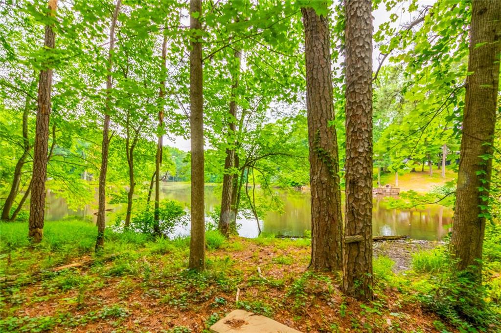 3316 Harvester Woods Road Decatur, GA 30034 - Photo 81 of 83