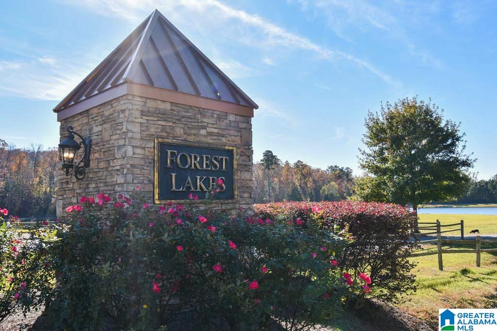 1164 Forest Lakes Way Sterrett, AL 35147 - Photo 5 of 26