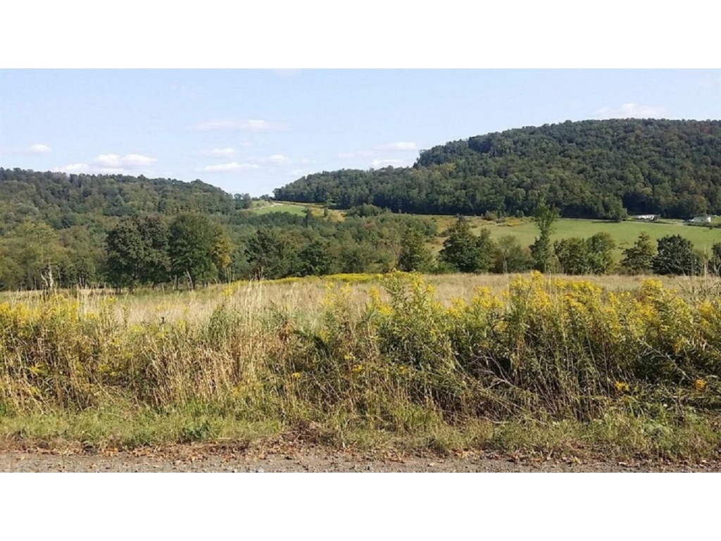 90 Hargrave Road Windsor, NY 13865 - Photo 1 of 1 Gallery Image 1