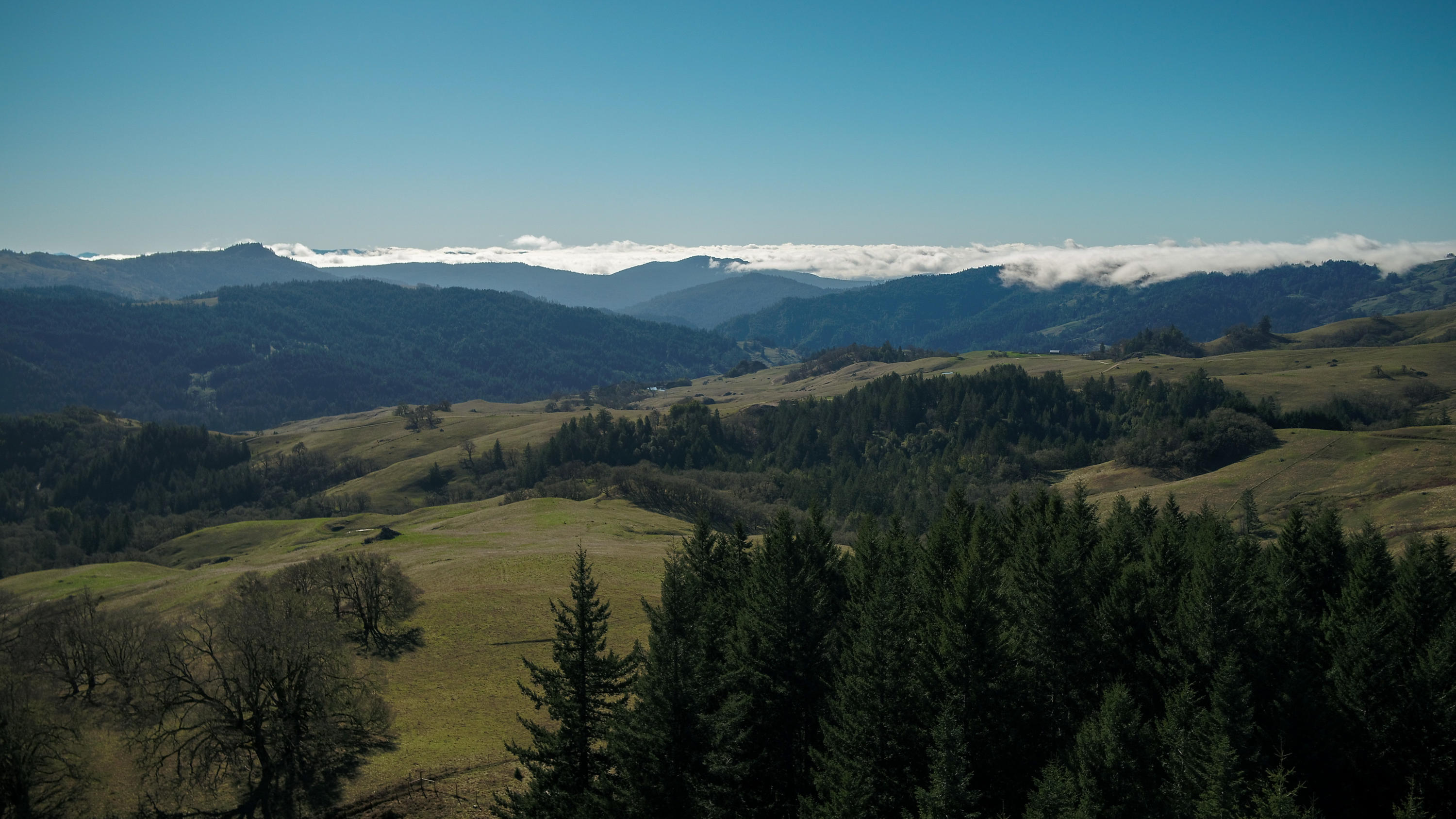 160-acres Butte Creek Road Kneeland, CA 95549 - Photo 26 of 56
