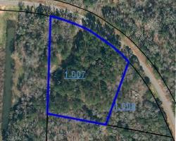3170 County Road 53 Abbeville, AL 36310 - Photo 8 of 8