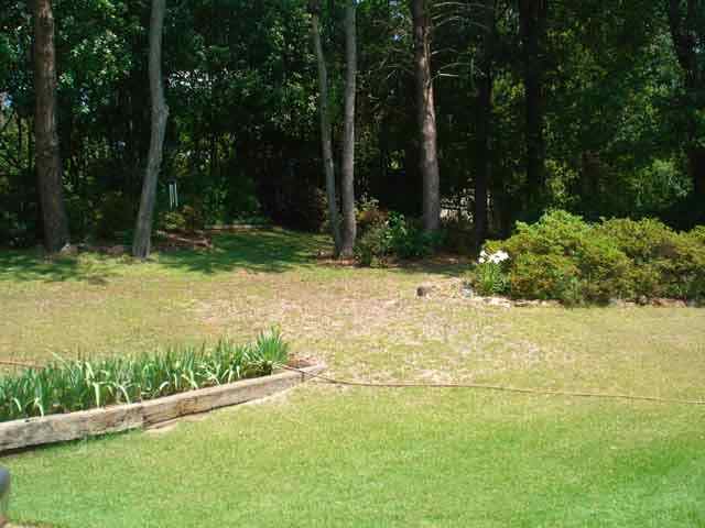 23 Shallowford Road Greenville, SC 29607 - Photo 3 of 9