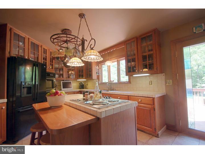 2862 Deep Creek Road Green Lane, PA 18054 - Photo 13 of 25 Gallery Image 13