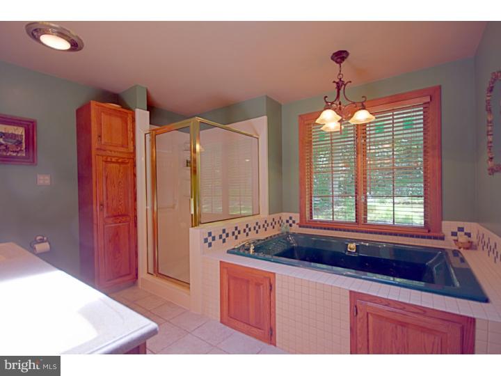 2862 Deep Creek Road Green Lane, PA 18054 - Photo 19 of 25 Gallery Image 19