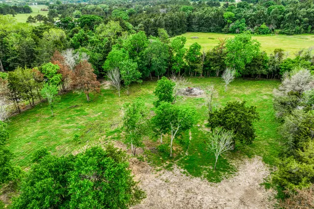 a view of a garden with a lake