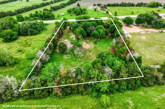 a view of a yard with potted plants and large tree