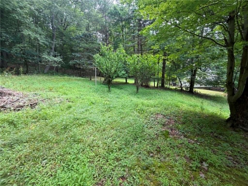 65 Old Mine Road Homer City, PA 15748 - Photo 8 of 35