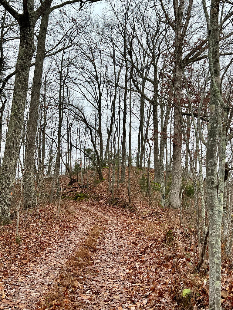 7950 Public Road Somerset, KY 42503 - Photo 2 of 29 01