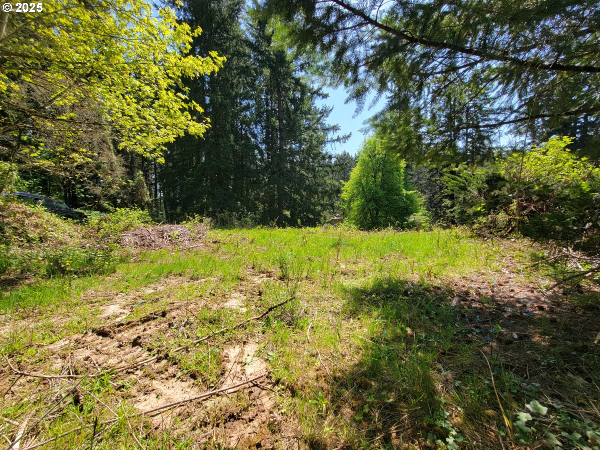 4295 Southwest Homesteader Road Wilsonville, OR 97070 - Photo 16 of 25