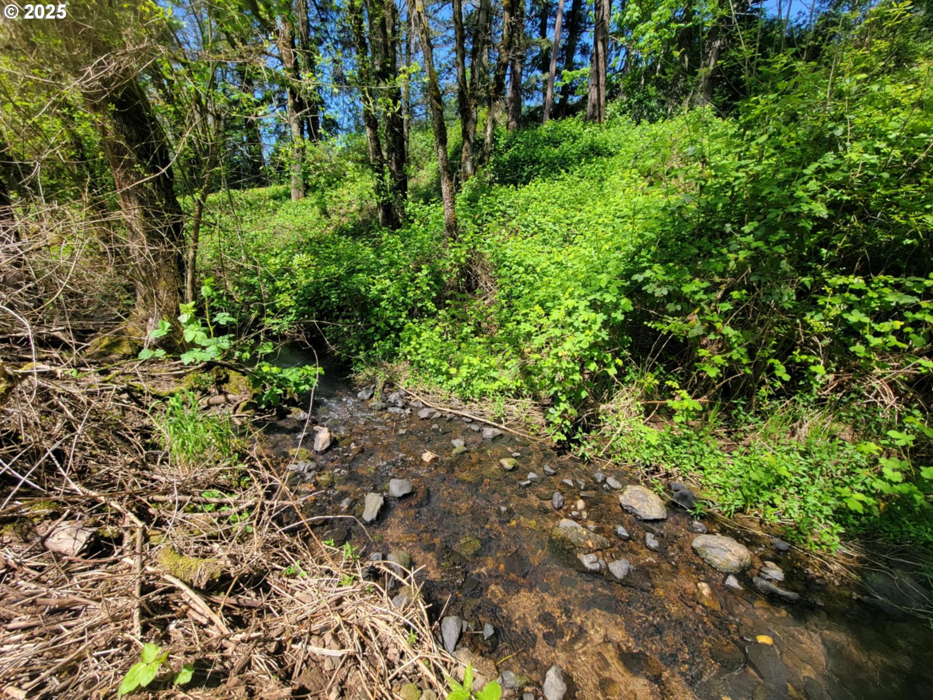 4295 Southwest Homesteader Road Wilsonville, OR 97070 - Photo 20 of 25