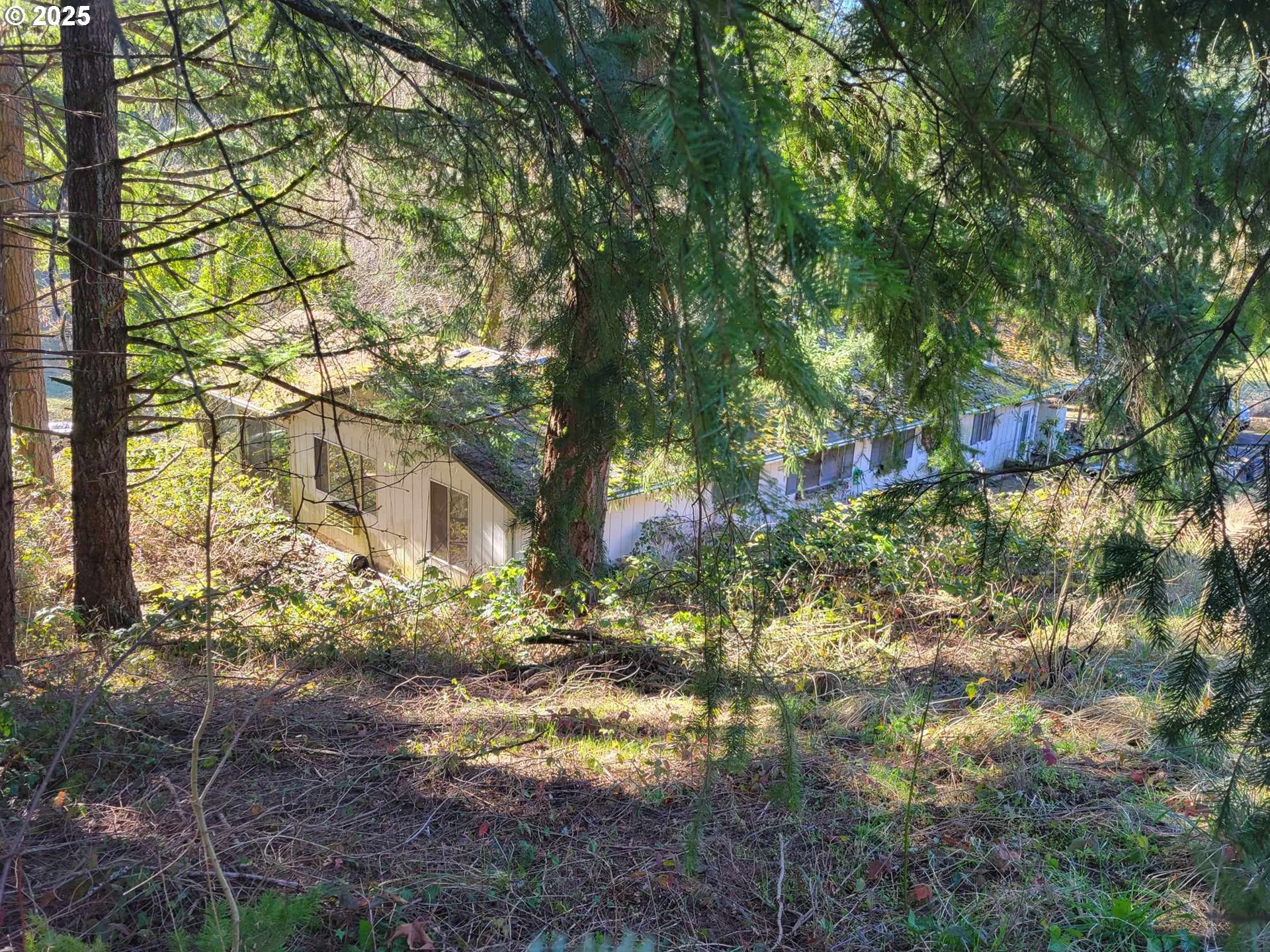 4295 Southwest Homesteader Road Wilsonville, OR 97070 - Photo 2 of 25