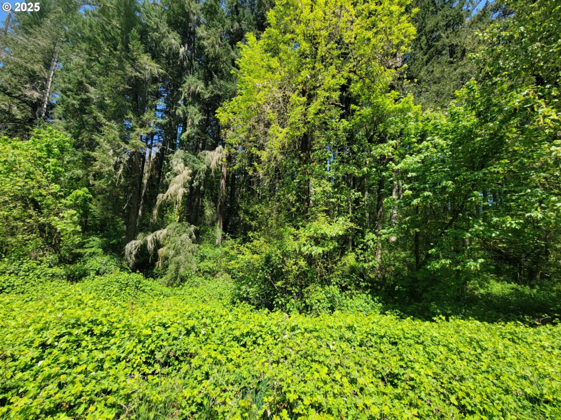 4295 Southwest Homesteader Road Wilsonville, OR 97070 - Photo 24 of 25