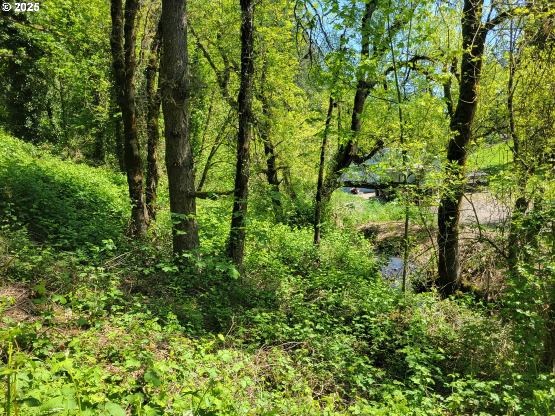 4295 Southwest Homesteader Road Wilsonville, OR 97070 - Photo 25 of 25