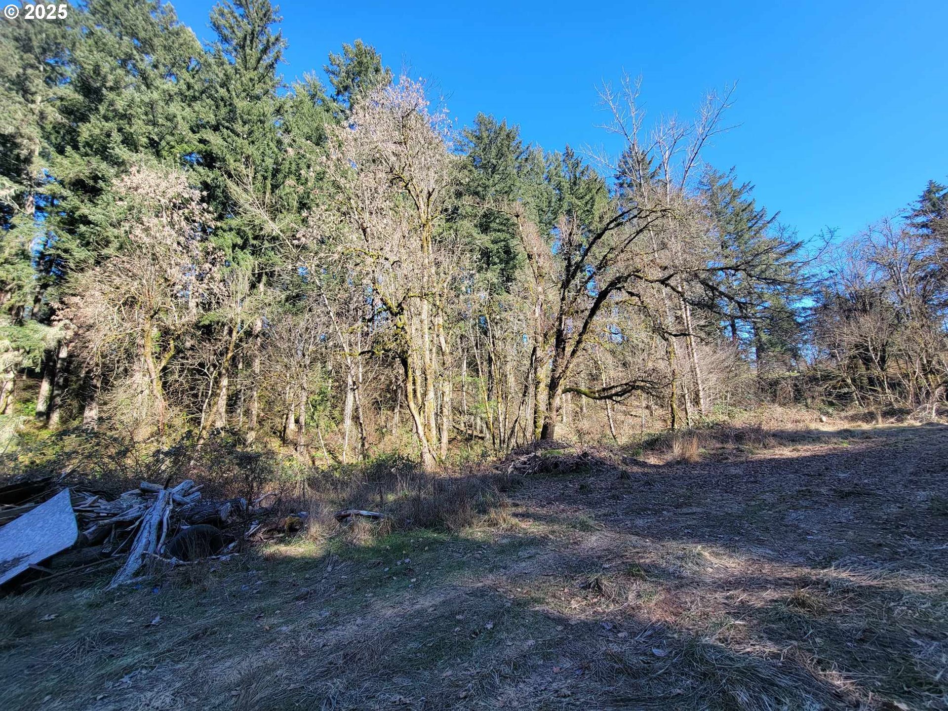 4295 Southwest Homesteader Road Wilsonville, OR 97070 - Photo 3 of 25