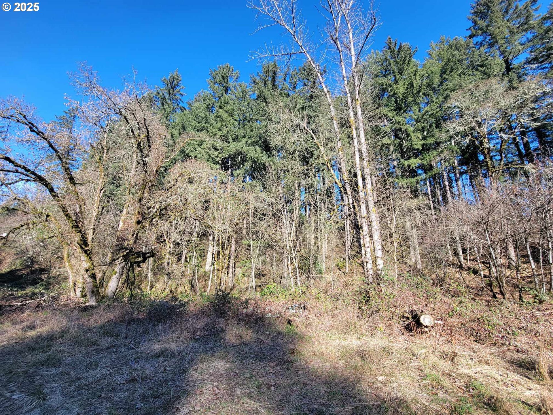 4295 Southwest Homesteader Road Wilsonville, OR 97070 - Photo 9 of 25