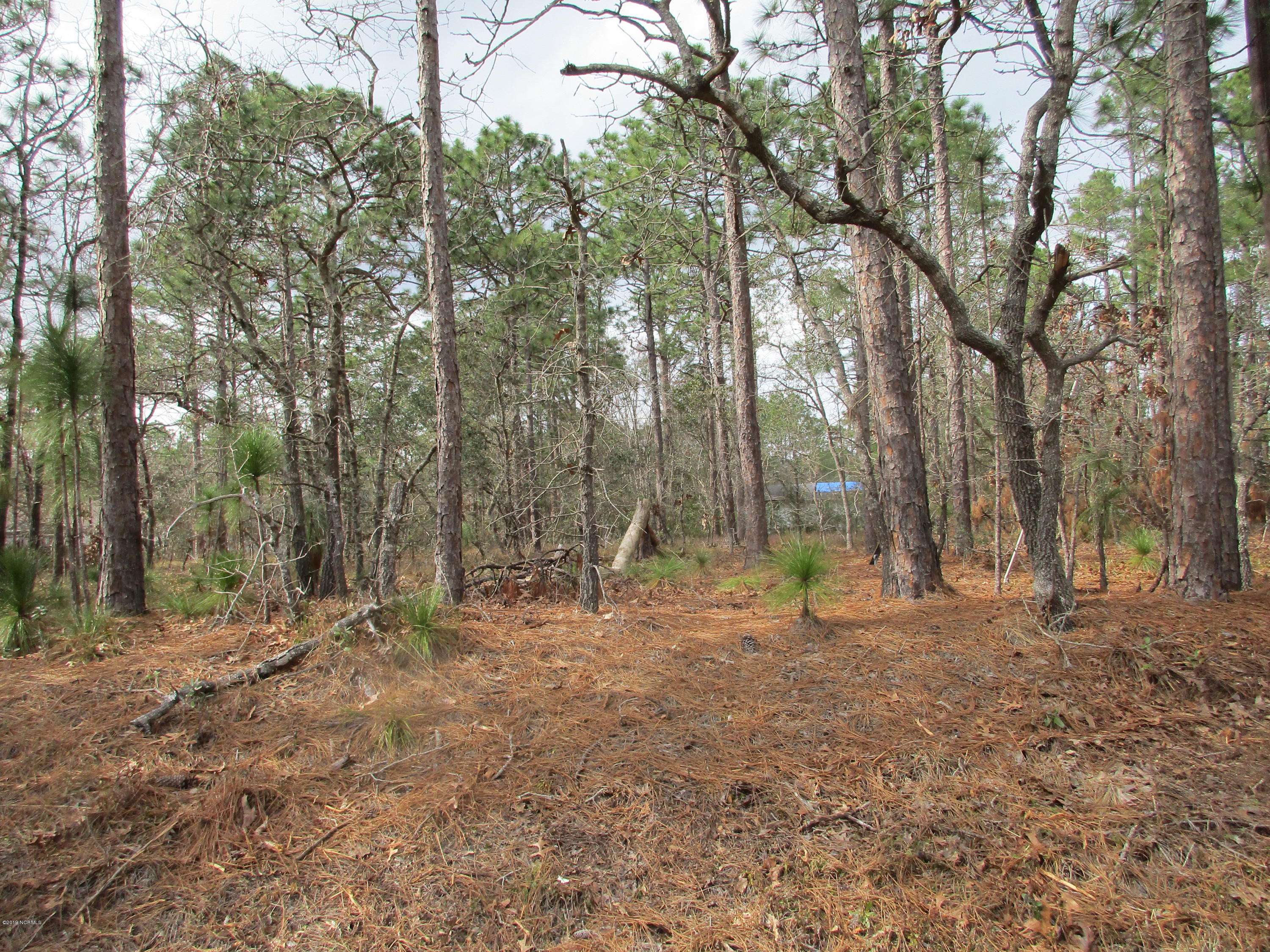 172 East Boiling Spring Road Southport, NC 28461 - Photo 2 of 2 IMG_0356