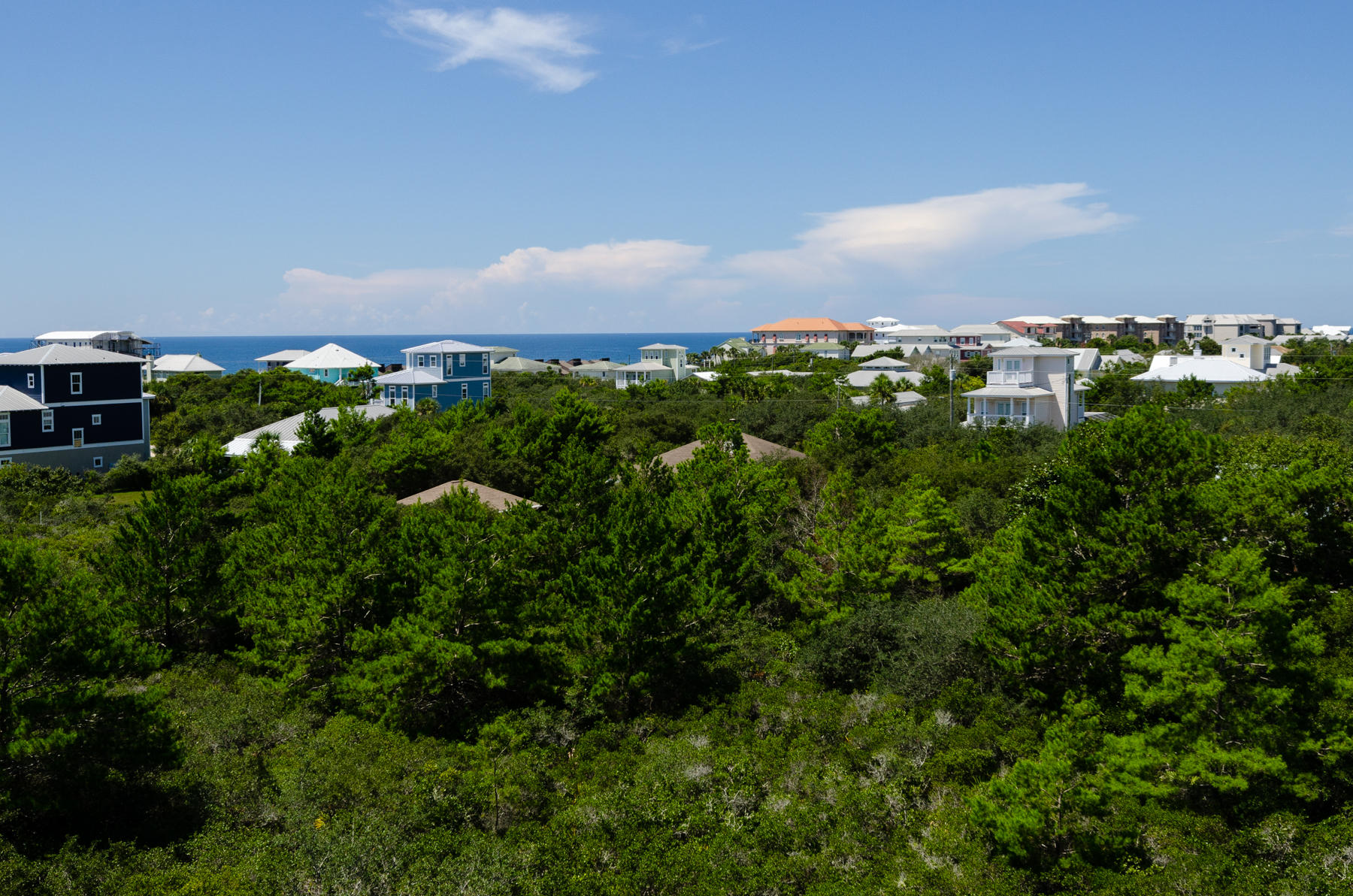 Lot 19 Brenda Ln Inlet Beach Inlet Beach, FL 32461 - Photo 6 of 11 a view of a bunch of trees and bushes